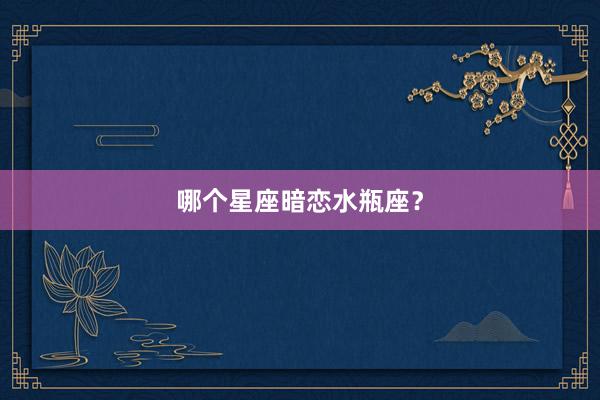 哪个星座暗恋水瓶座？