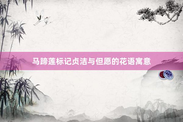 马蹄莲标记贞洁与但愿的花语寓意